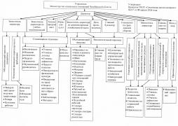 Структура ГКОУ "Саткинская школа-интернат" (схема)